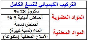 الوثيقة 9