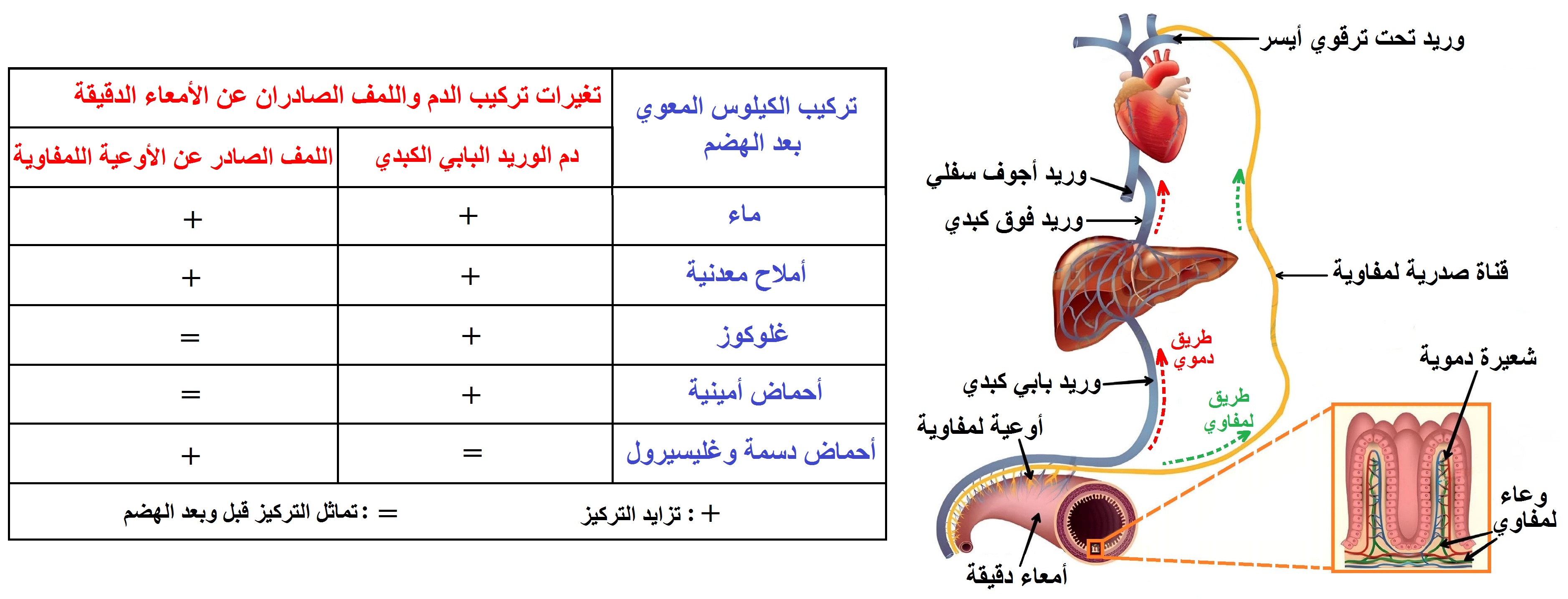 الوثيقة 9