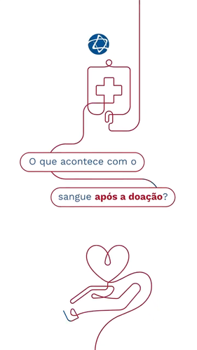 video capture t0001.33seg 392.png