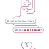 video capture t0001.33seg 392