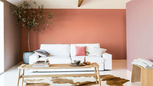 Transform Your Home with Dulux Paint in Orange Shades.jpg