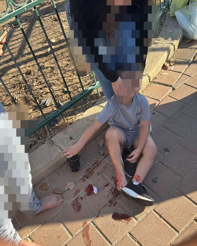 في جريمة بشعة، أقدمت عصابات الإجرام داخل الخط الأخضر على قتل أم بدمٍ بارد وإصابة طفلها الصغير، أثناء توجهها لإيصاله إلى روضته في مدينة الرملة. المجرمو...