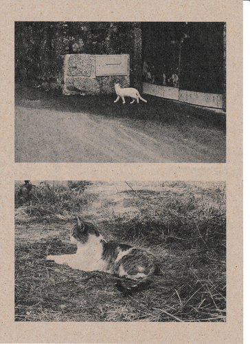 Scanner 20250916.png