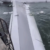 ezgif.com video to gif converter.gif