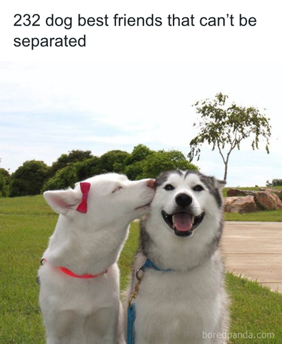 download 2025 10 20T091229.255.png