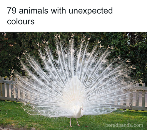 download 2025 10 20T091134.840.png