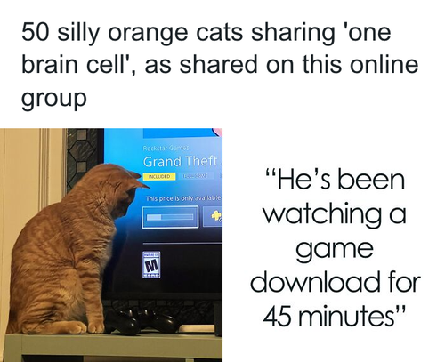 download 2025 10 20T090445.019.png