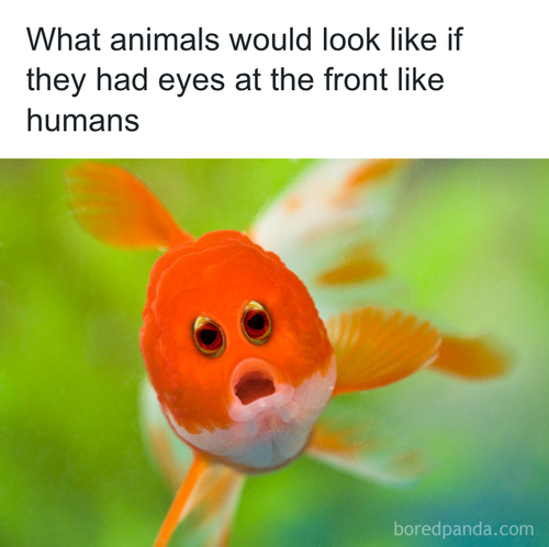 download 2025 10 20T085518.588.png