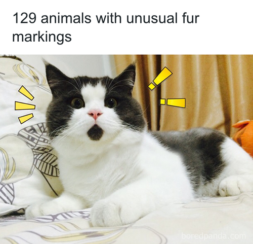 download 2025 10 20T085206.374.png