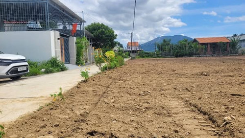 566233177 2737334909930909 8524372596773167196 n.jpg