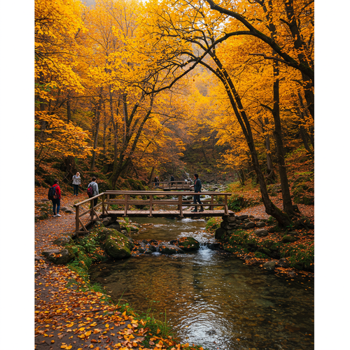 Gyumri Explorer: Cultural Escape image 3 768x1024.png