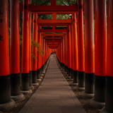 Kyoto Zen: Ancient Temples &amp; Gardens image 4 896x1152