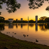 Explore Sao Paulo's Heart image 4 896x1152