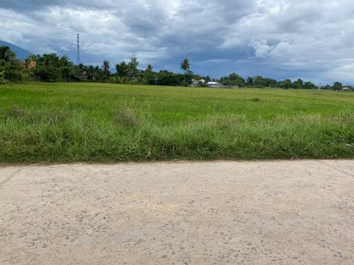 566218234 1423476419354872 4756037075546667903 n.jpg