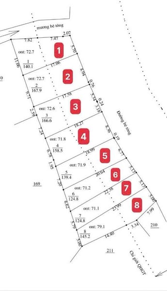 565103789 1423476509354863 5697398533690737498 n.jpg