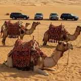 Luxury Bahrain Getaway image 2 1024x768