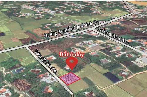 565637068 2429983537396392 7550066455291690983 n.jpg