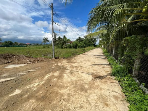 565640578 2429983477396398 6929533283250242686 n.jpg