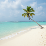 Maldives Eco Adventure image 4 896x1152