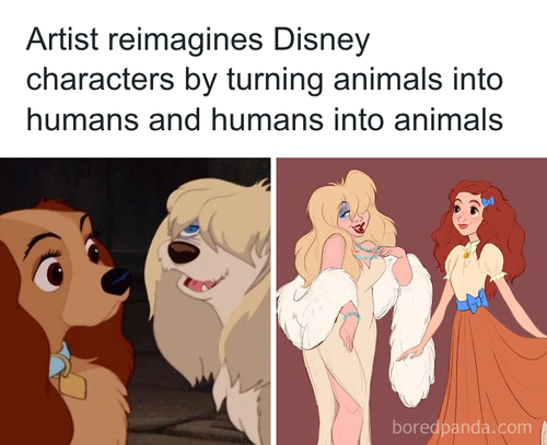 download 2025 10 21T103315.490.png