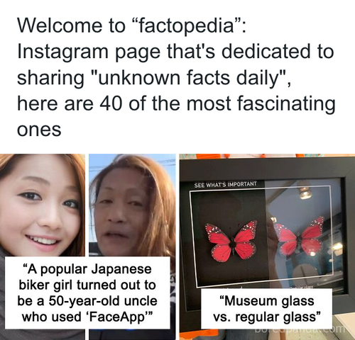 download 2025 10 21T153029.911.png