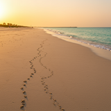 Abu Dhabi Cultural Immersion image 2 1024x768