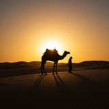 Abu Dhabi Desert Nights image 5 1152x896