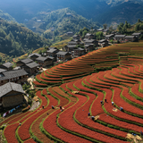 Bhutan Cultural Immersion: Punakha &amp; Wangdue image 3 768x1024