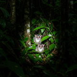 Antananarivo Explorer: Cultural Escape Vol. 3 image 2 1024x768