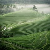 Bali Bliss: Luxury Escape image 2 1024x768