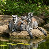 Antananarivo Explorer: Cultural Escape Vol. 1 image 2 1024x768