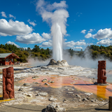 Auckland Explorer: Cultural Escape image 1 1024x1024