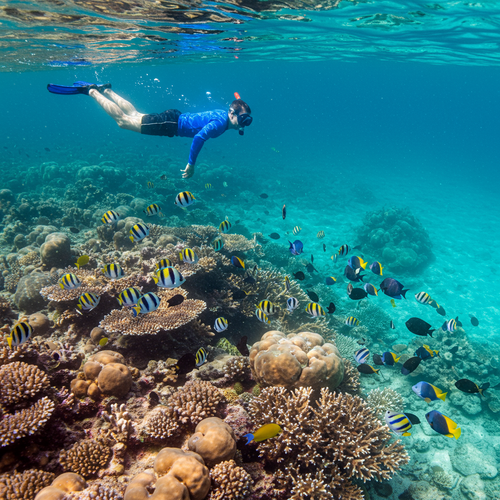 Budget Maldives Escape image 3 768x1024.png