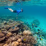 Budget Maldives Escape image 3 768x1024