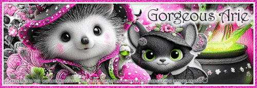 GorgeousArieST SSOc25 vi.gif