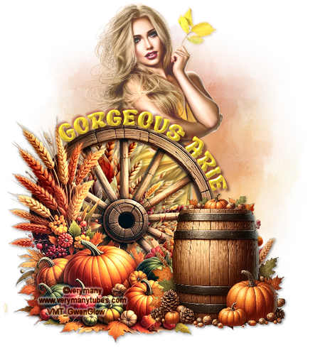 VMFallTagGorgeousA vi