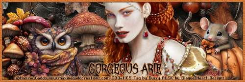 MGDarkAutumnCGorgeousArieBuzzy vi