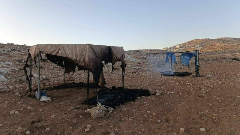 قطعان المستوطنين تقوم بحرق خياما زراعية للأهالي في منطقة اخلال العدرة شرق قرية الكرمل جنوب الخليل....