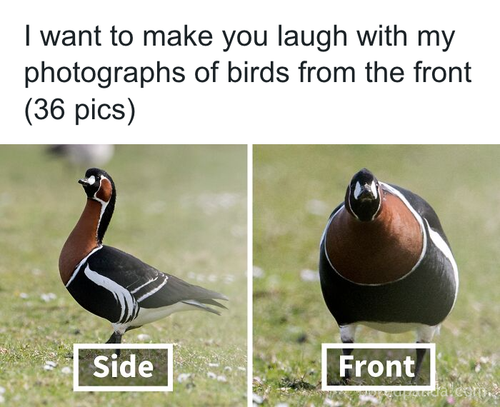 download 2025 10 21T115257.990.png