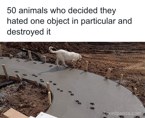 download 2025 10 21T115418.424.png