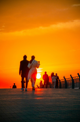 pexels photo 16658397.jpg