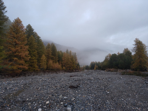 IMG 20251021 081106.jpg