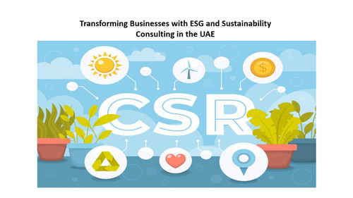ESG and sustainability consulting.jpg