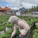 21 Nabila Aulia