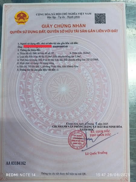 566288645 1205126601451672 2727692808454688416 n.jpg