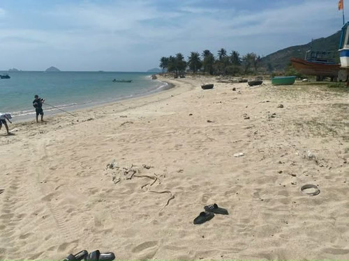 565656248 1423924829310031 3419218187181678645 n.jpg