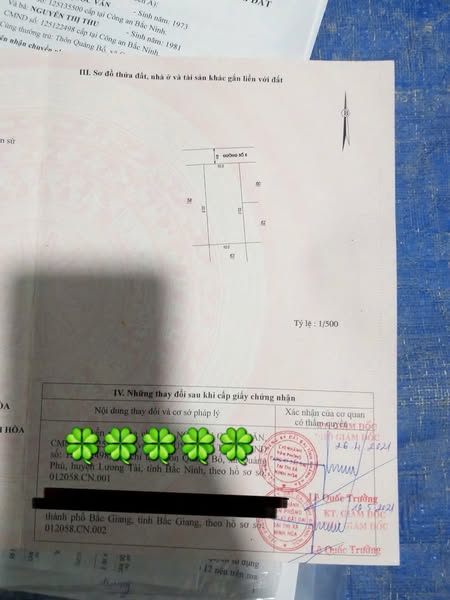 560112181 1423924895976691 2391420907368018951 n.jpg