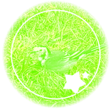 bird.png