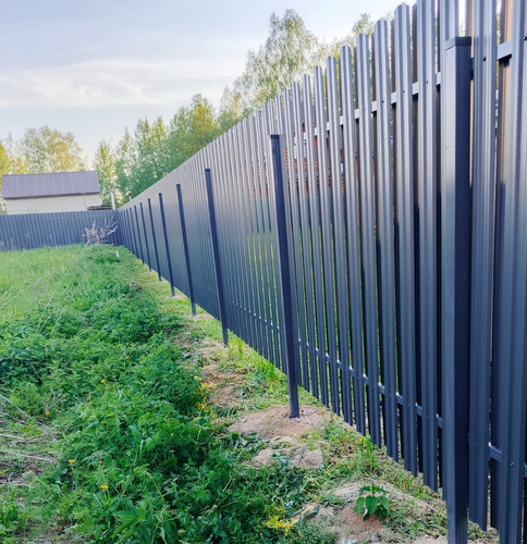 IMG 20250525 WA0221.jpg