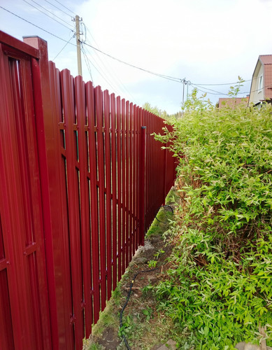 IMG 20250516 WA0126.jpg